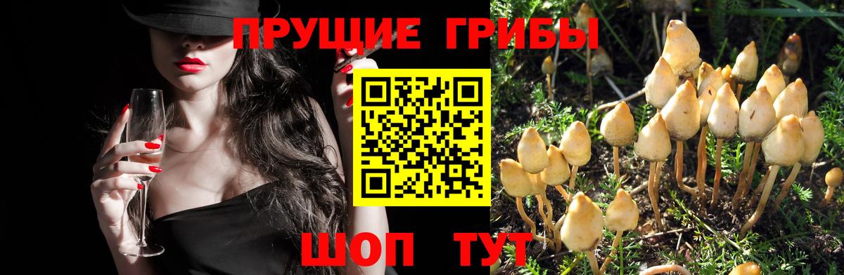 Галлюциногенные грибы мицелий  Вход с VPN  Миасс 